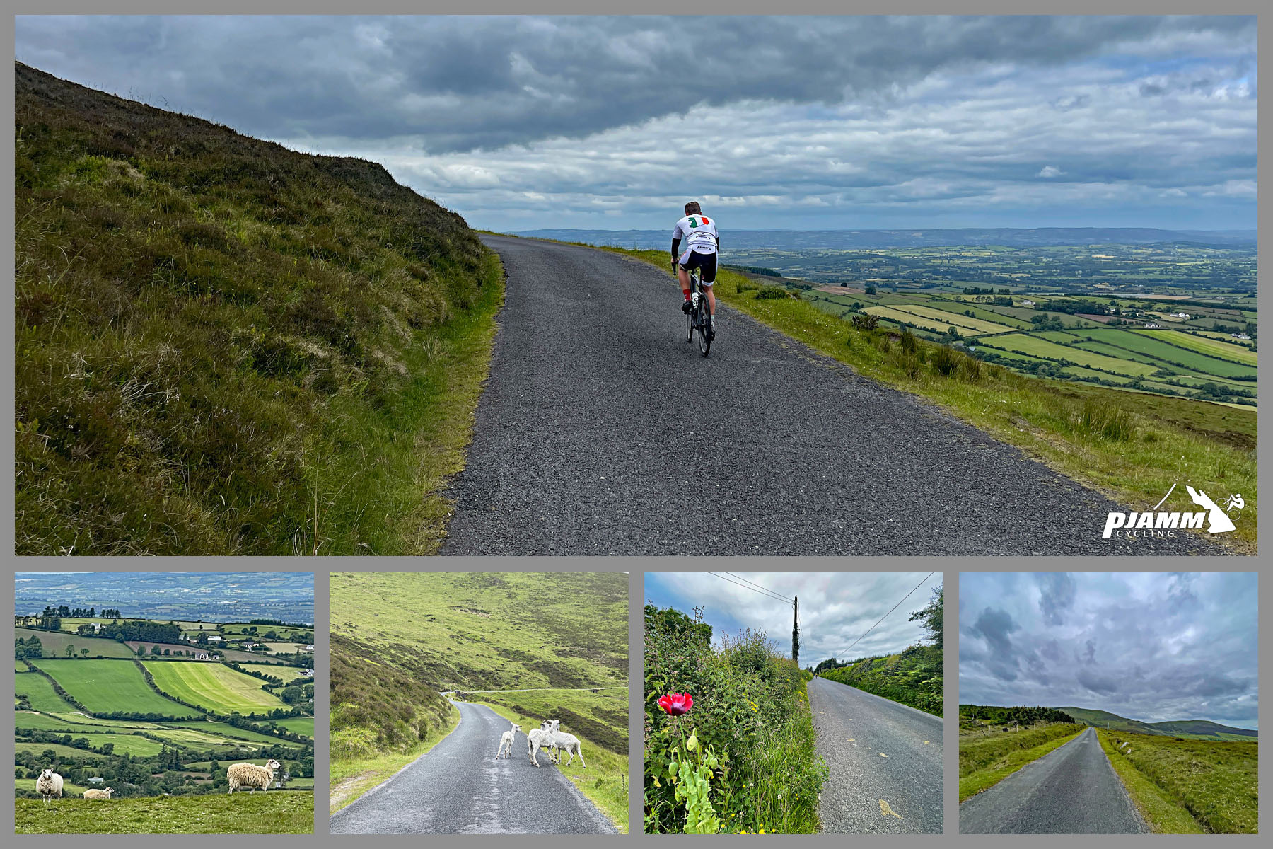 photo collage shows views along the climb: Irish countryside, sheep crossing roadway, pastureland
