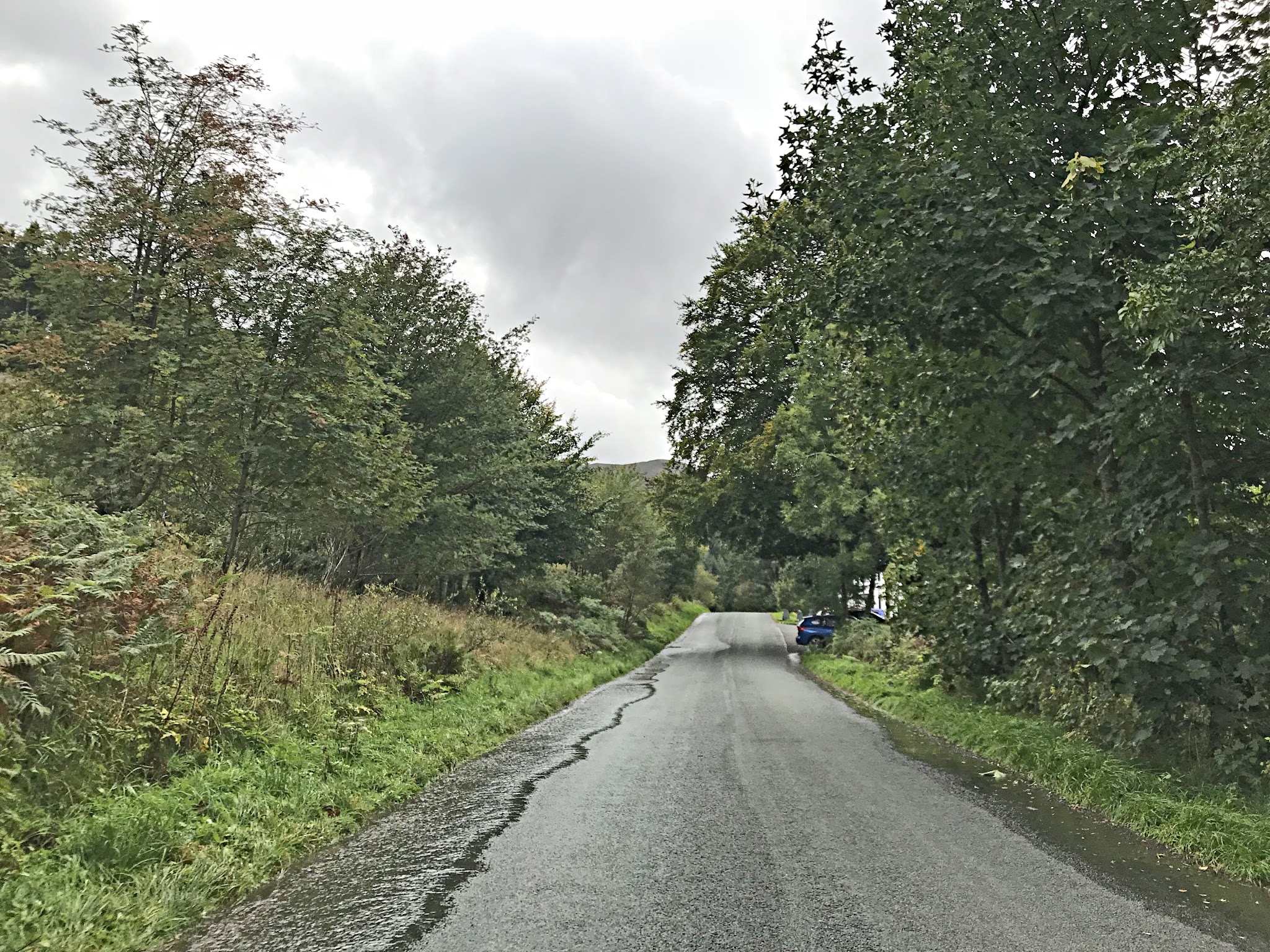 Bike climb Whinlatter Pass #82 Simon Warren 100 Greatest Cycling Climbs  - roadway surrounded and bordered by trees