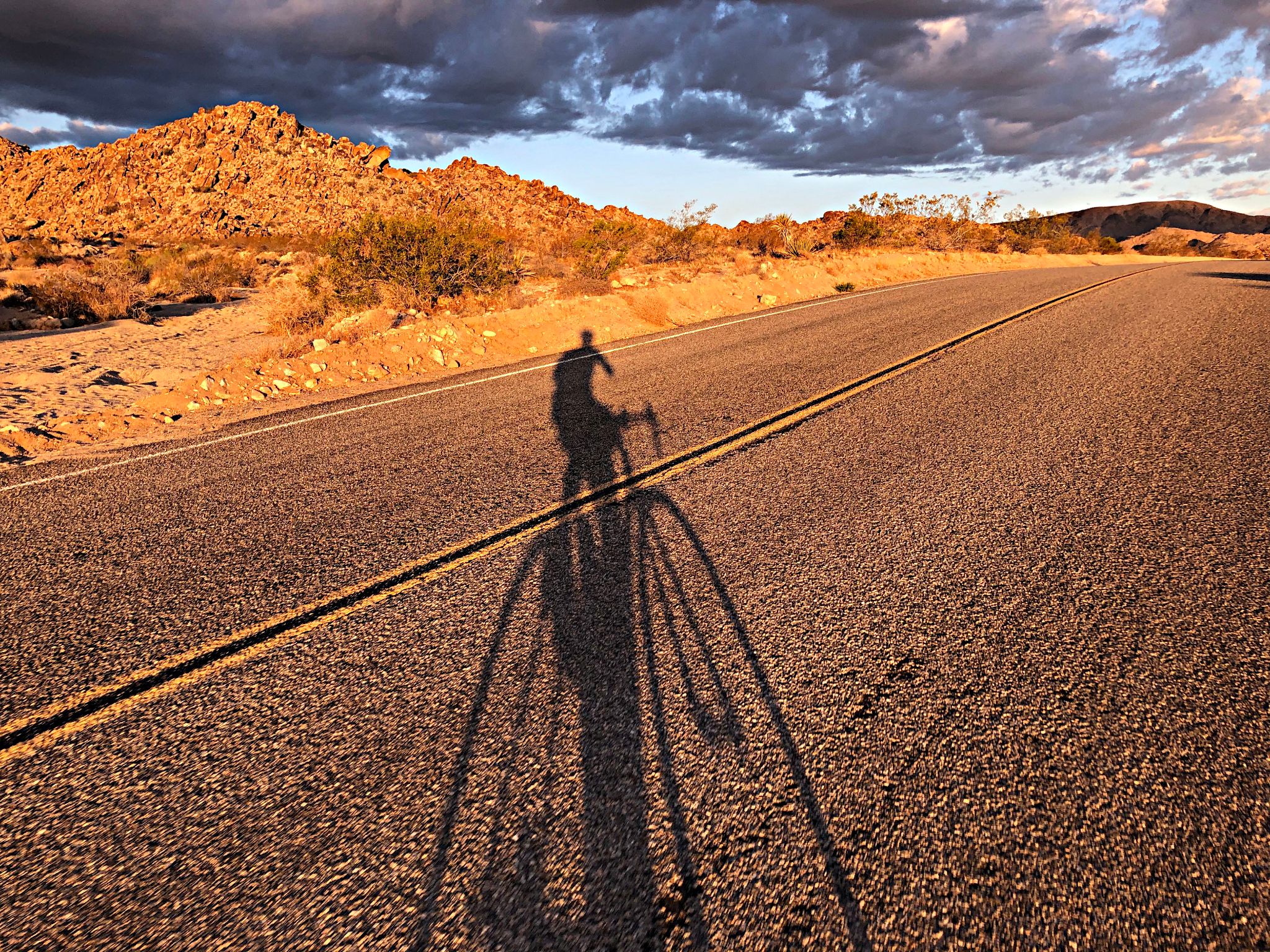 Cycling Joshua Tree National Park, California - cyclist long shadow cast on two-lane roadway, desert landscape with dark stormy skies