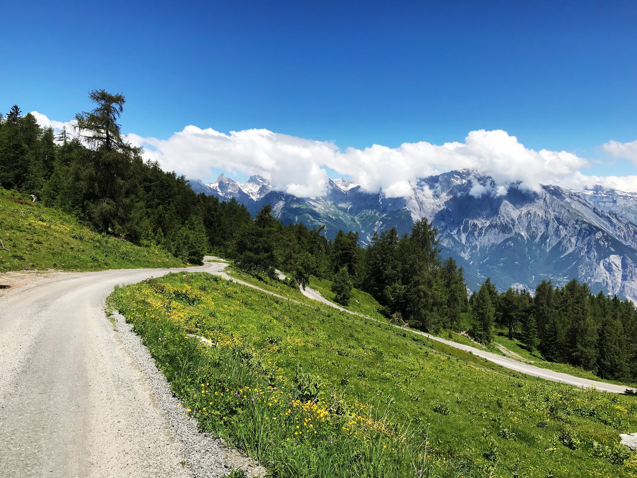 Bike climb Top Swiss bike climbs near Sion - gravel road, flowers, mountains and clouds - Croix de Coeur-Riddes
