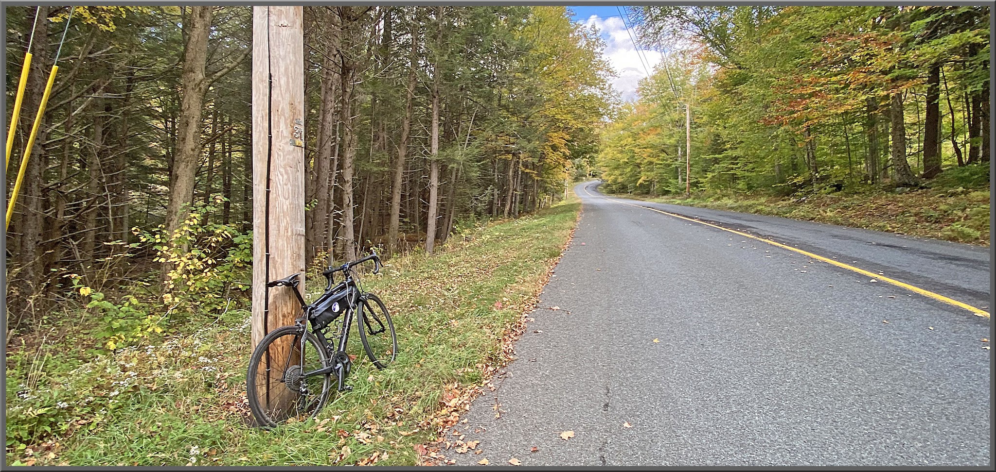 bike parked against power line next to two-lane roadway surrounded by dense foliage