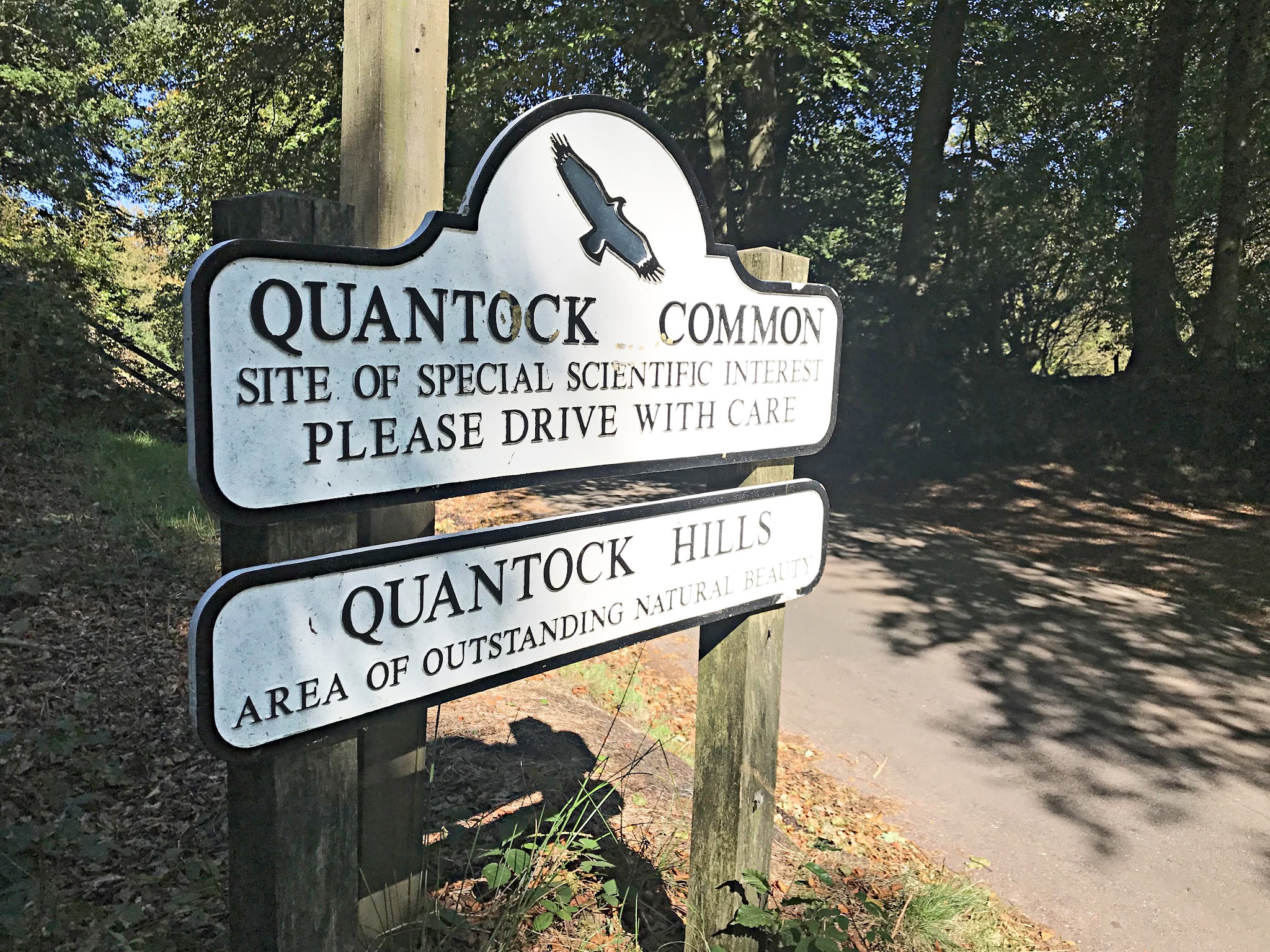 Climbing Crowcombe Comb, Somerset - white sign with soaring black bird image on it for Quantock Common Site of Special Scientific Interest and Quantock Hills Area of Outstanding Natural Beauty