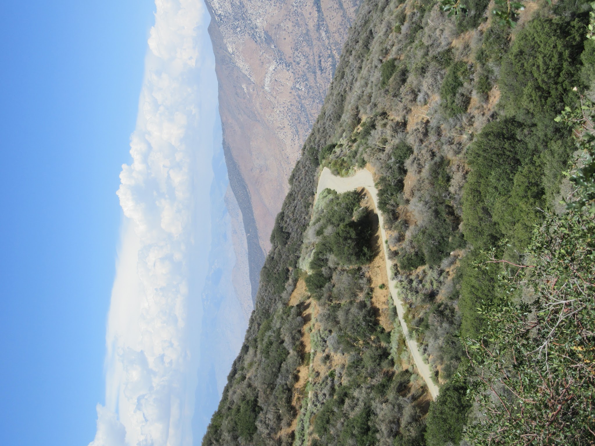 IMG_2167.JPG