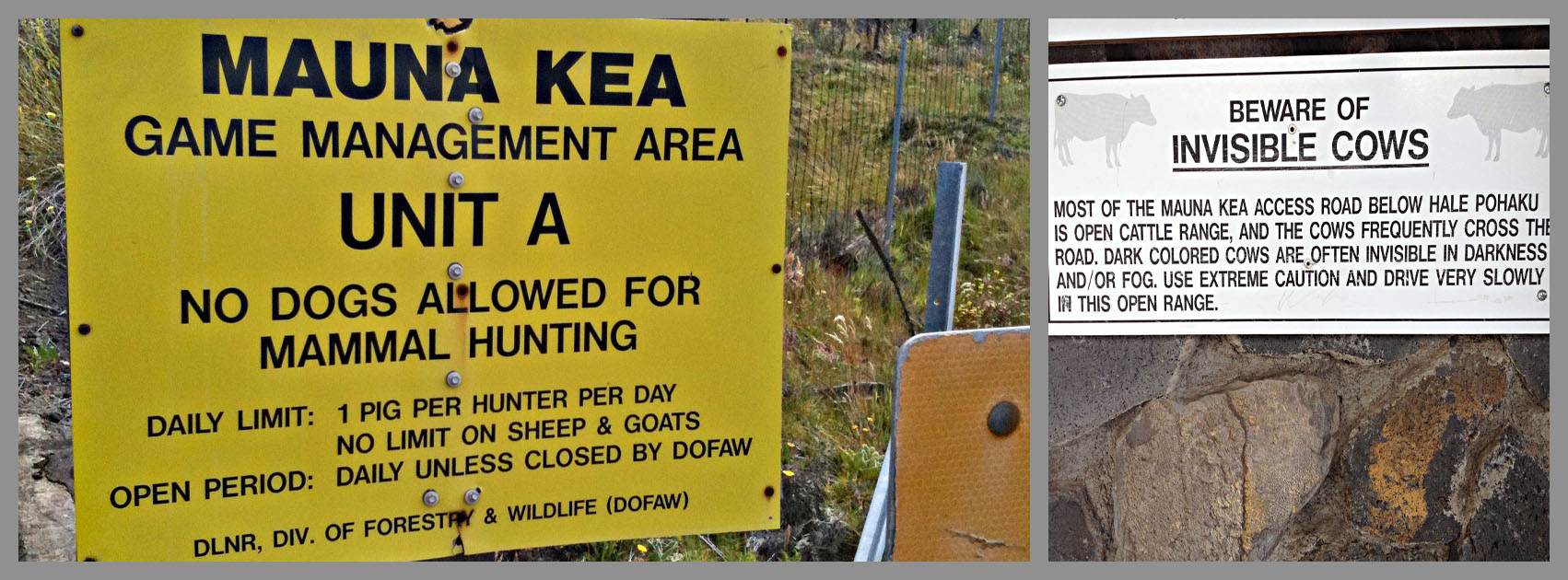 interesting signs along this segment, including "No Dogs Allowed for Mammal Hunting," and "Invisible Cows"
