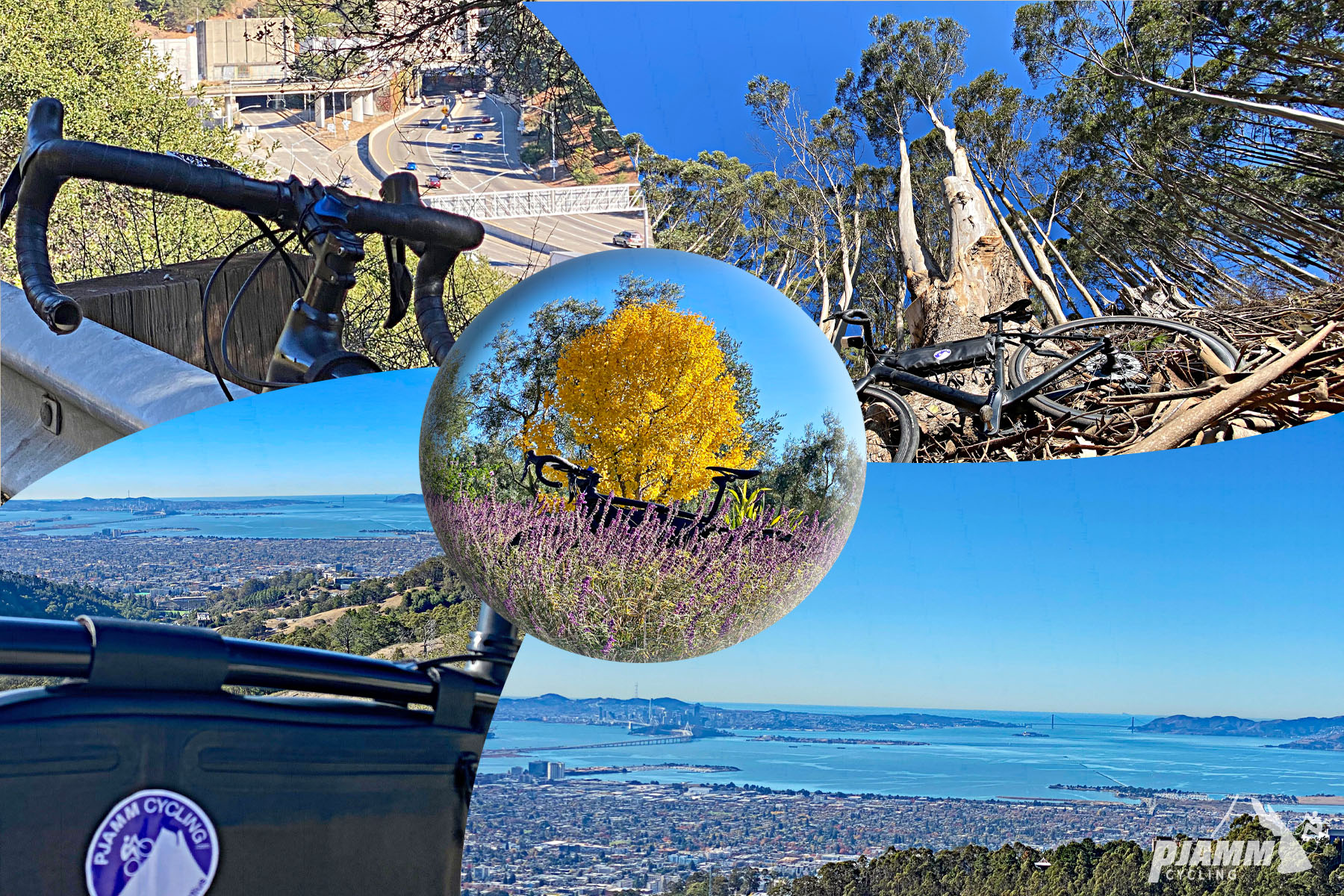 Cycling Tunnel to Grizzly Peak, California - photo collage, Oakland Hills Fire Memorial Park, bike parked in purple wild flowers in front of bright yellow Gingko tree, bay area overlooking bay, PJAMM Cycling logo in corner