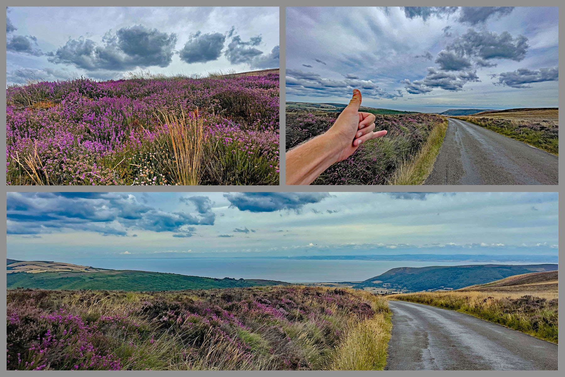 photo collage shows views of English countryside, purple heather blossoming in pastures