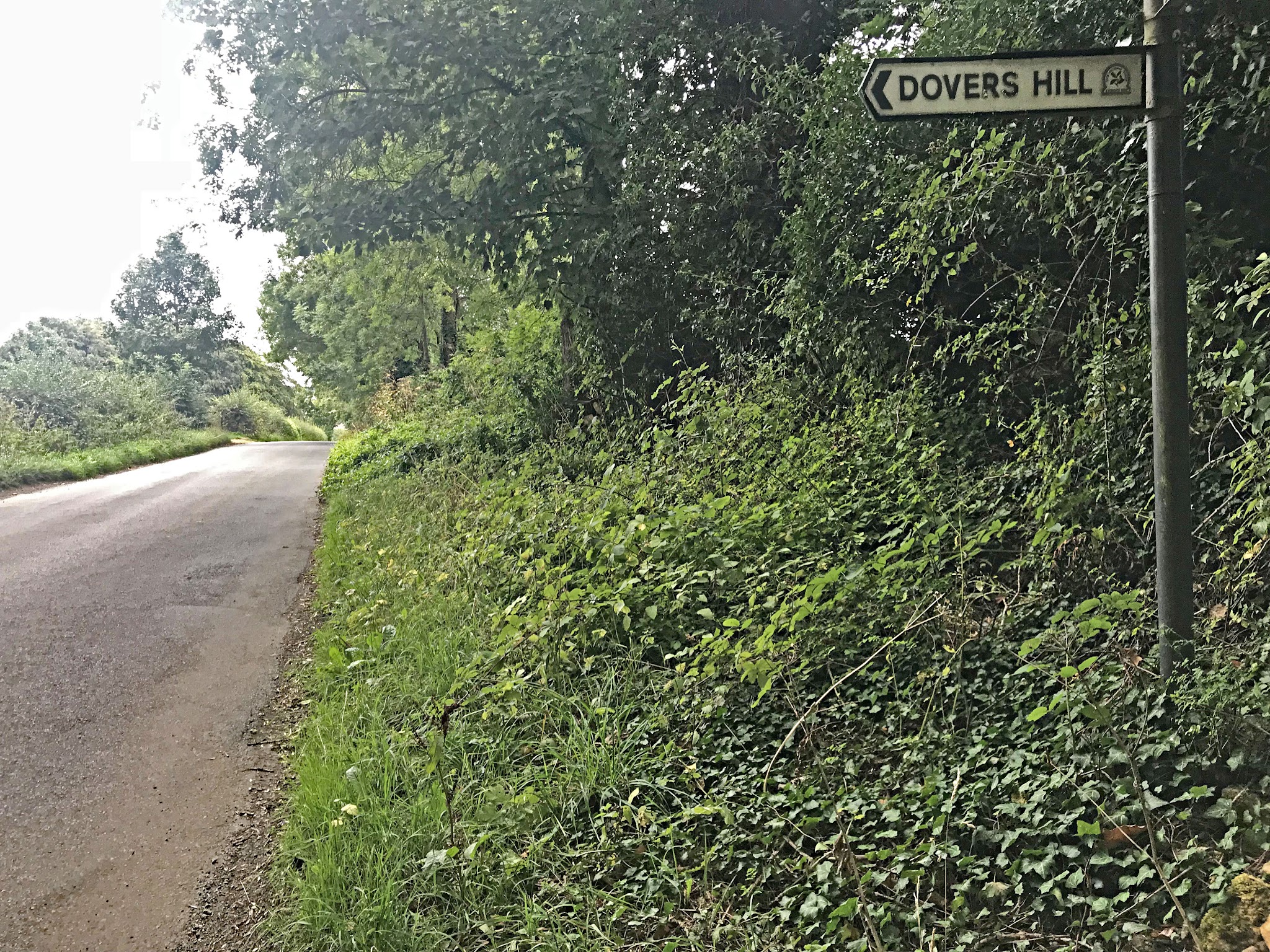 Cycling Dovers Hill - road sign for Dovers Hill along forested area along narrow one-lane road