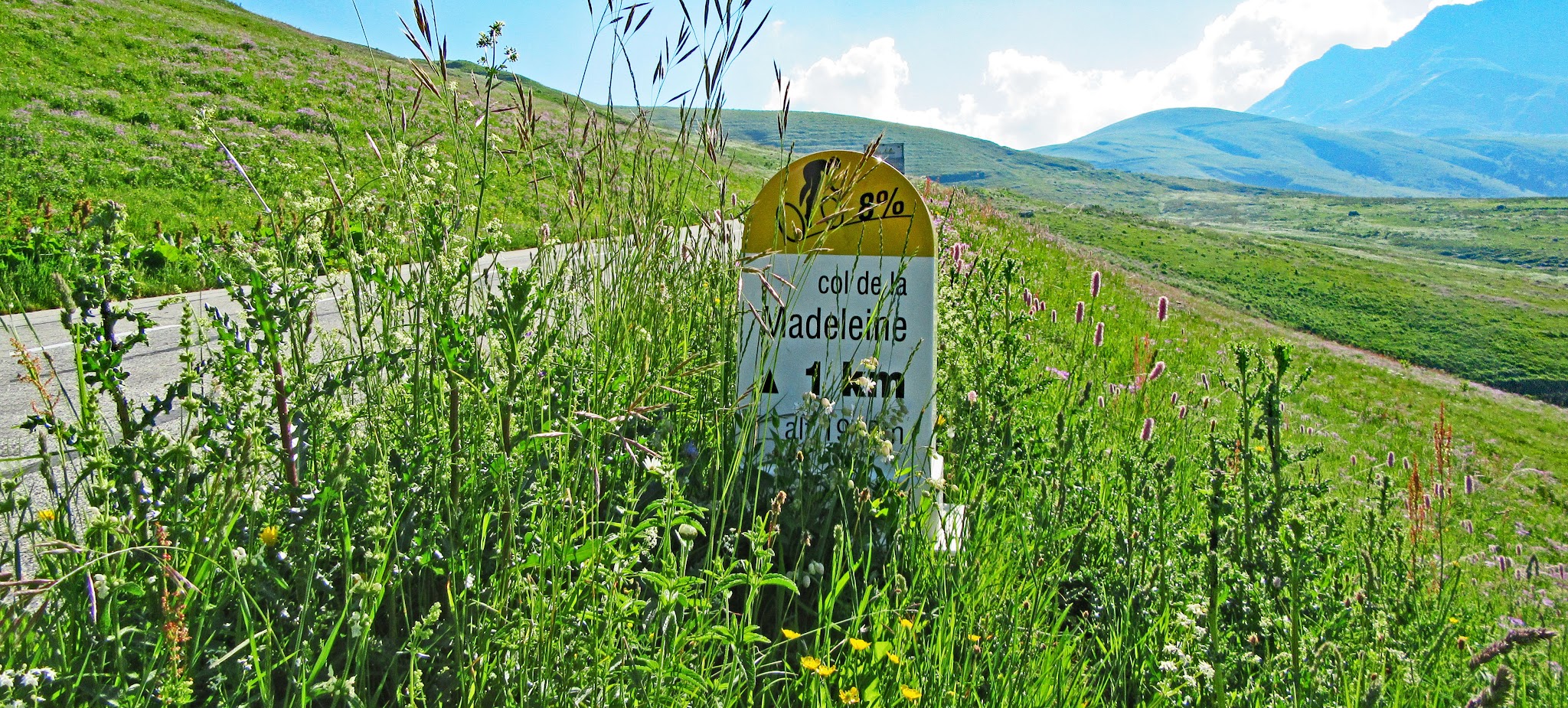 Cycling Col du Madeleiene - roadway and green fields with mountains in background