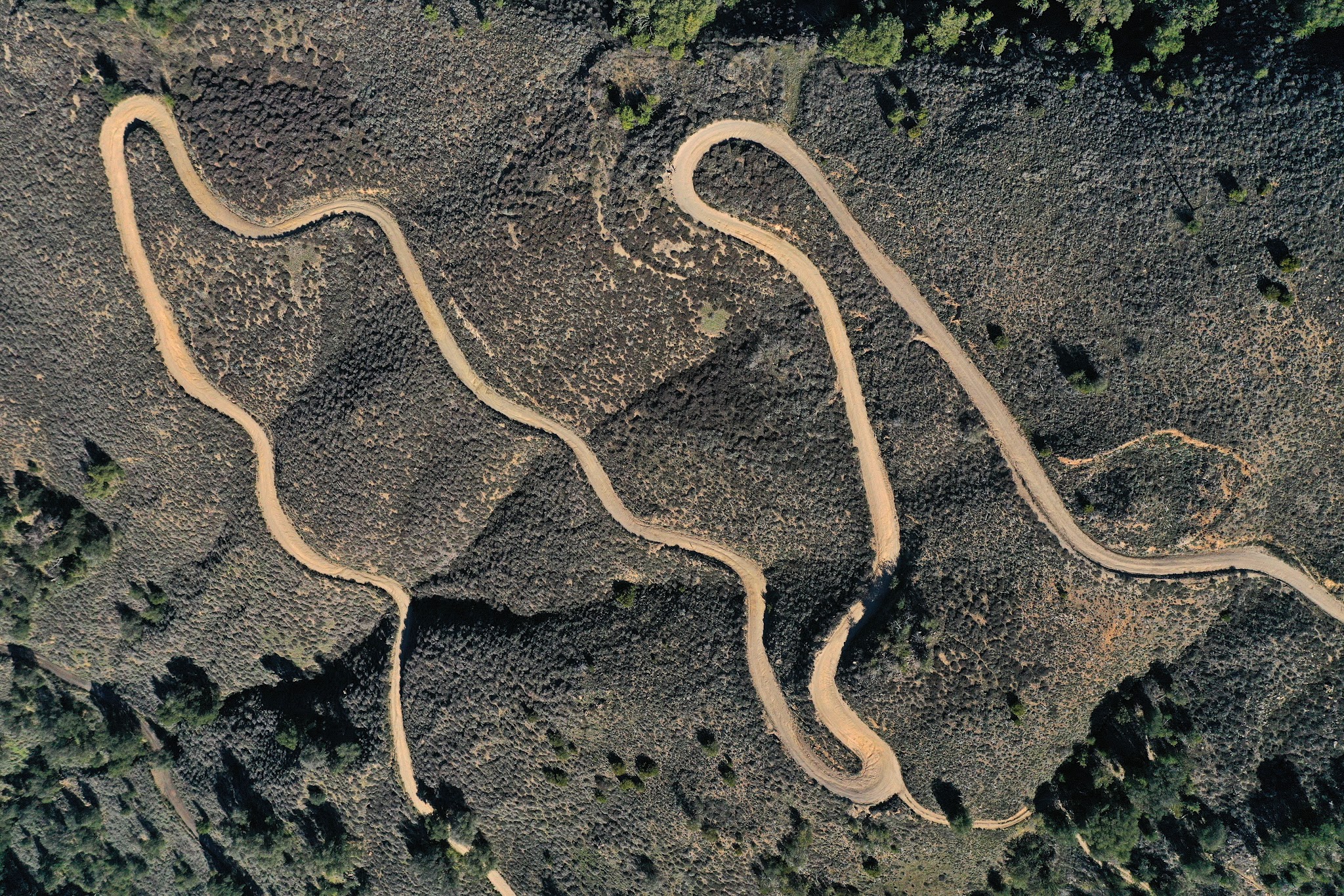 Drone photo of Nate Harrison Grade and orange groves