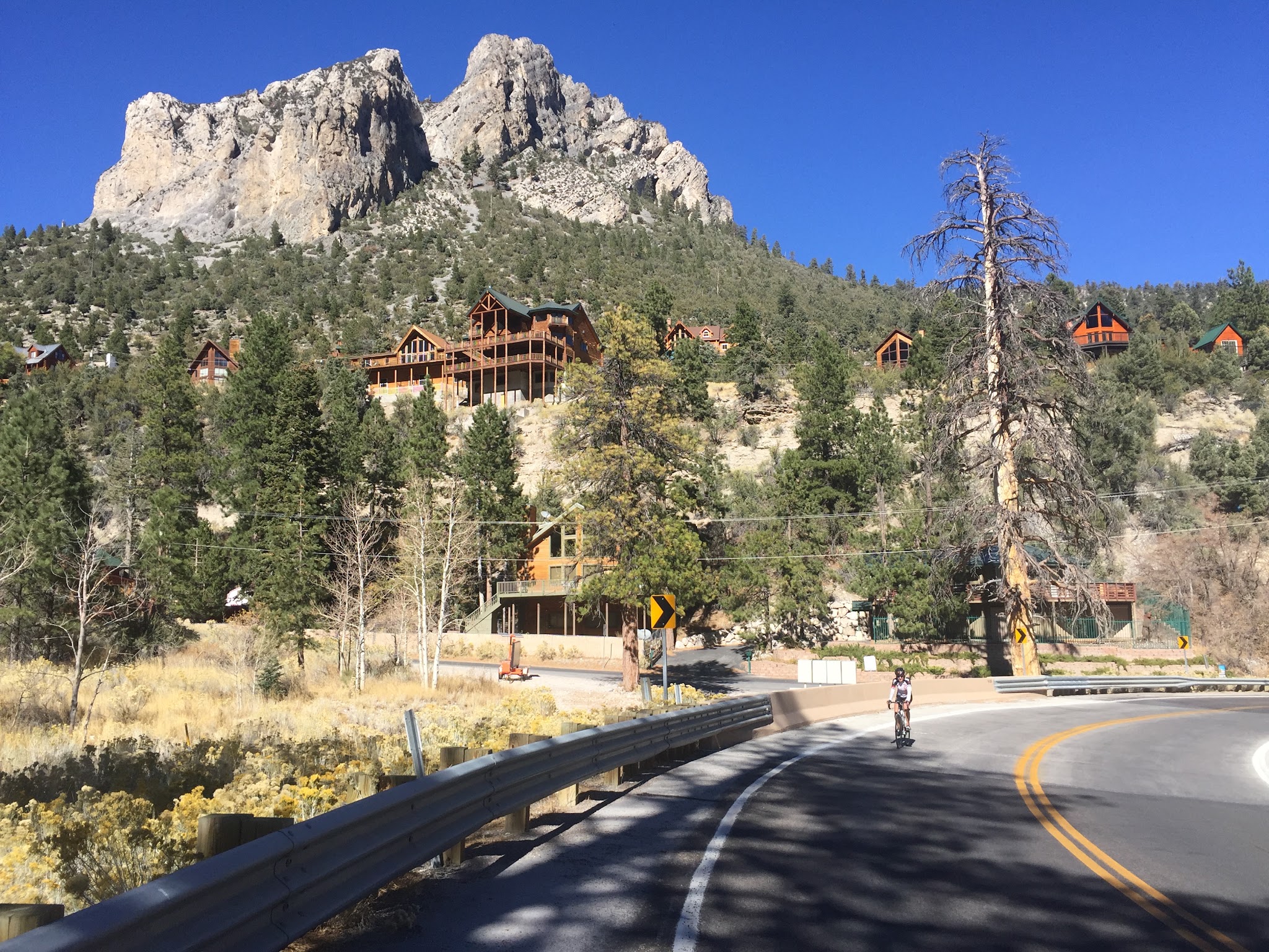 Cyclist riding bike in Mount Charleston Wilderness Area.