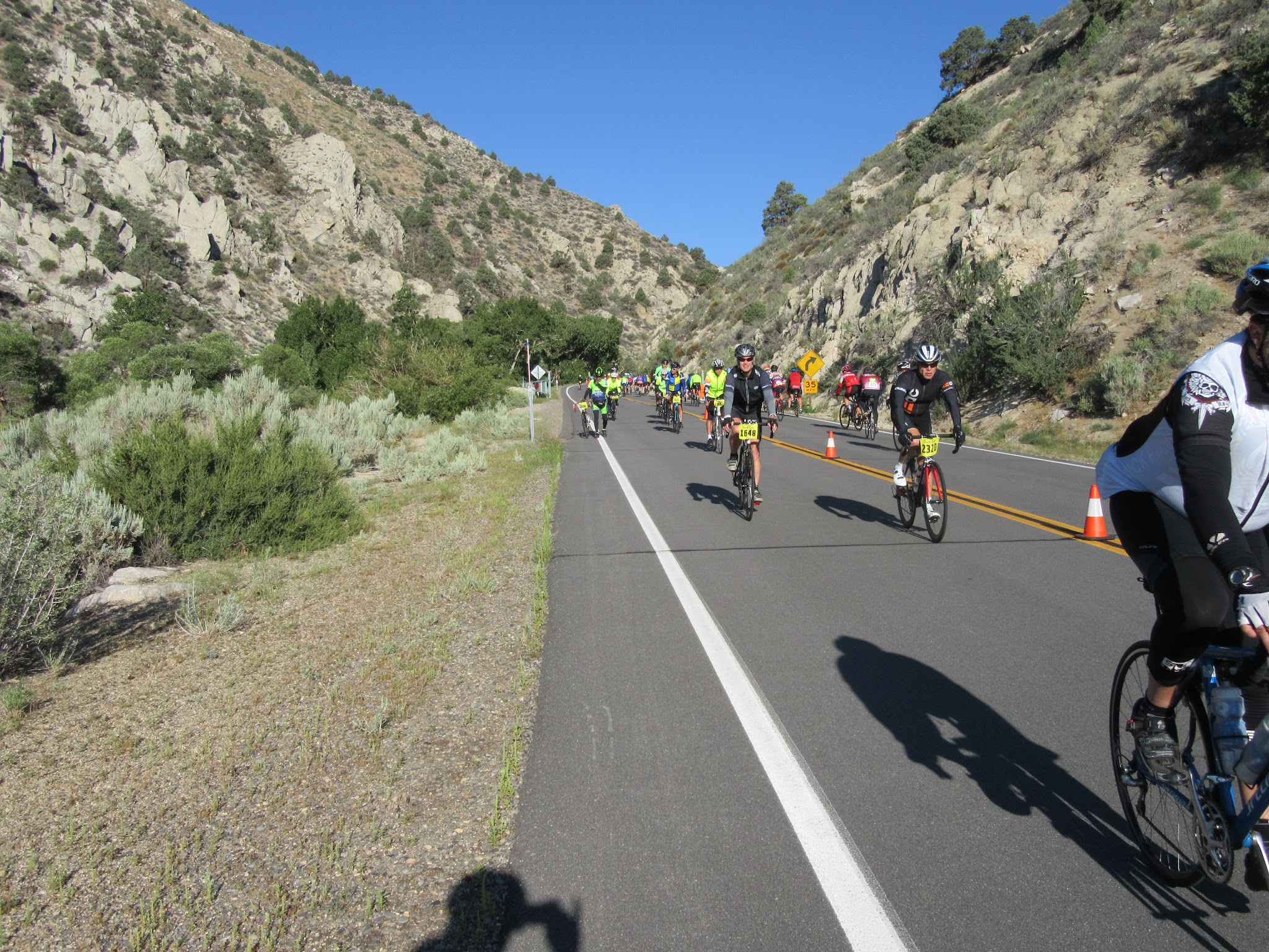 Climbing Monitor Pass East  by bicycle - Death Ride cyclists descending through canyon