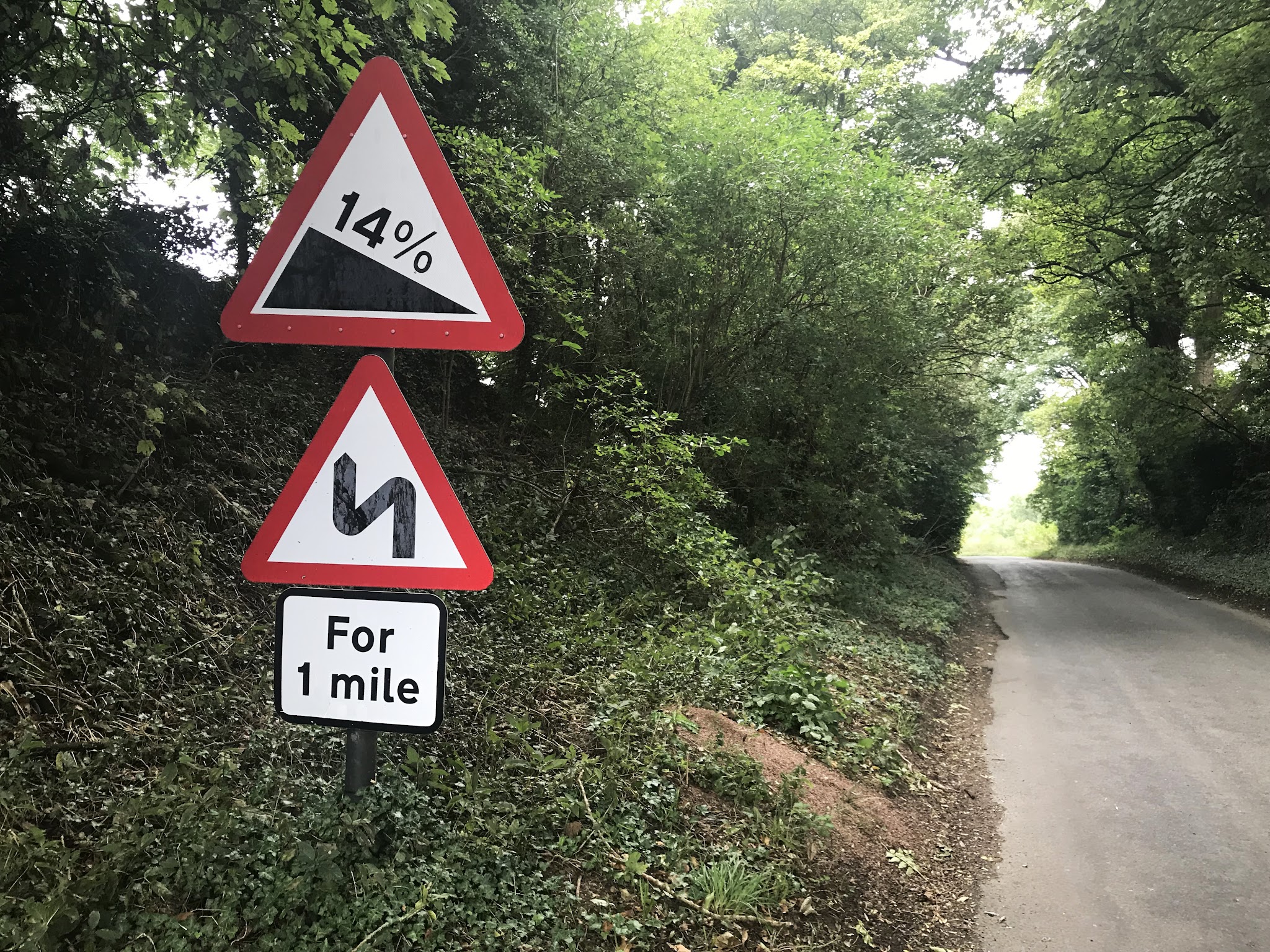 Cycling Dovers Hill - road sign noting 14% grade and winding road, along one-lane road with heavy brush