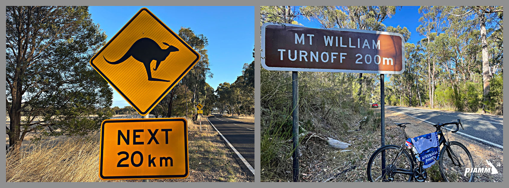 Road sign for Kangaroos next 20 km; bike parked next to road sign reading "Mt. William Turnoff 200 m"