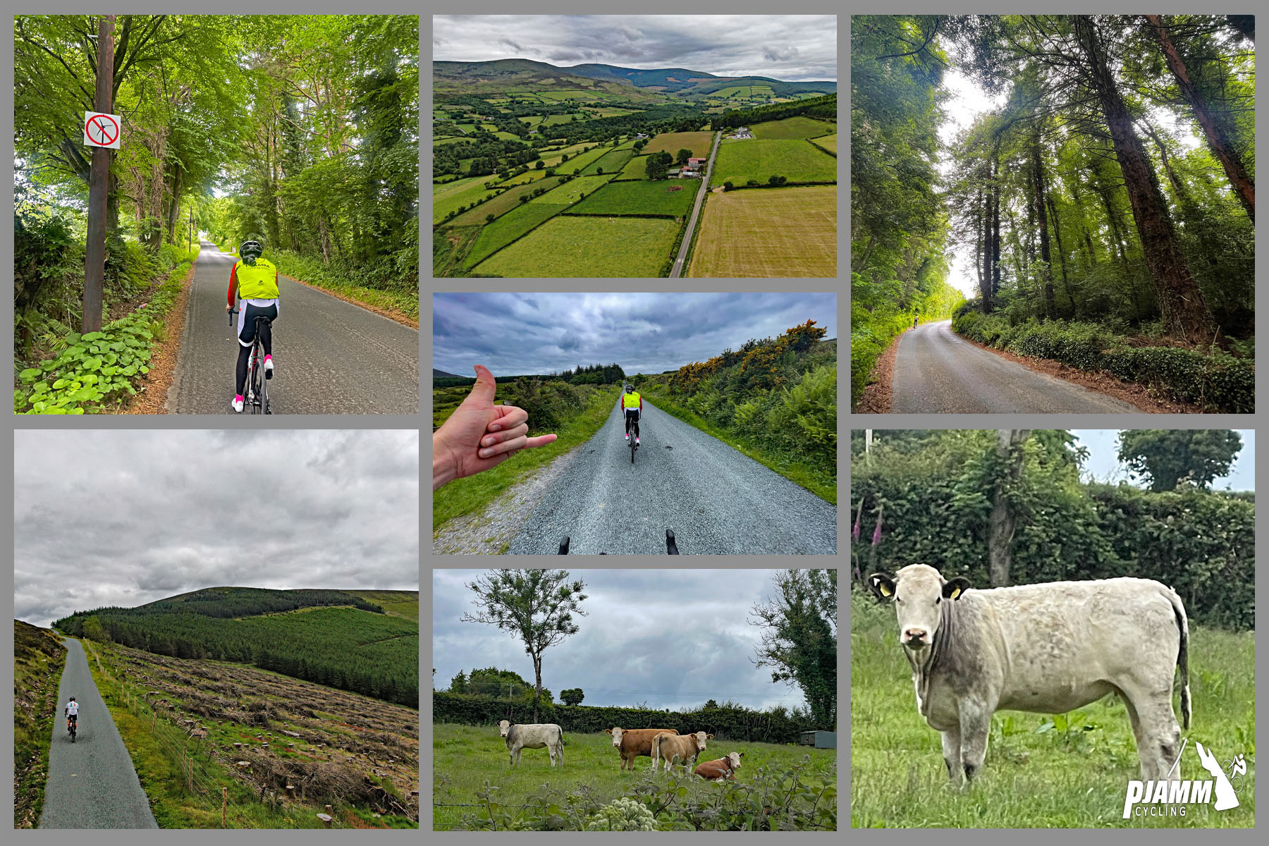 photo collage shows views of Irish countryside, pastureland and white and brown cows grazing