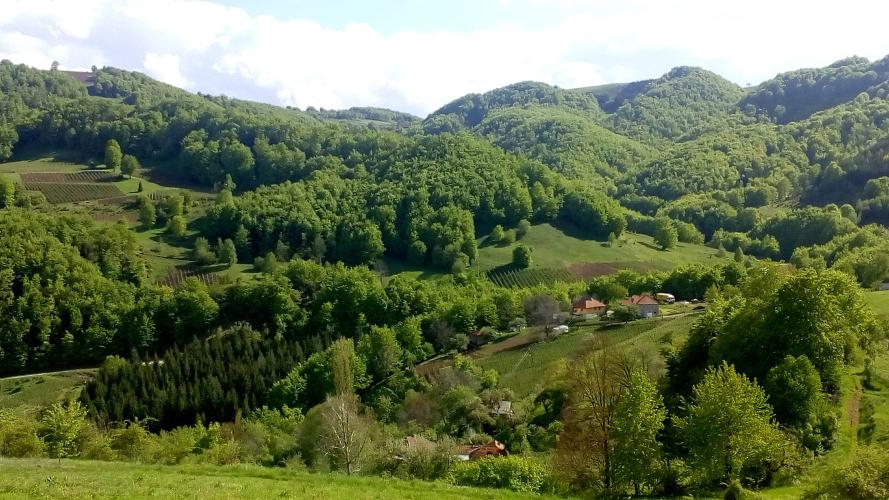 Kopaonik - Southwest Bike Climb - PJAMM Cycling