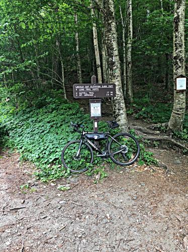 Lincoln Gap East Bike Climb - PJAMM Cycling