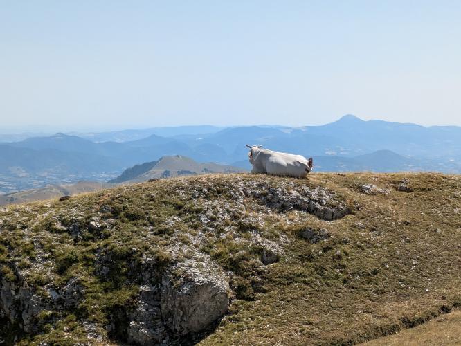 Monte Catria (Buonconsiglio-Colombara) Bike Climb - PJAMM Cycling