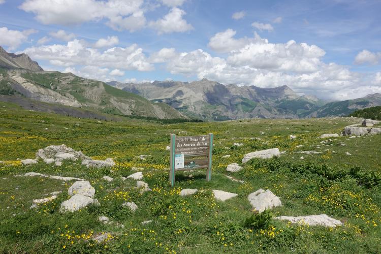 Col des Champs, Colmars Bike Climb - PJAMM Cycling