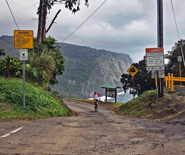 Waipio Road Bike Climb - PJAMM Cycling