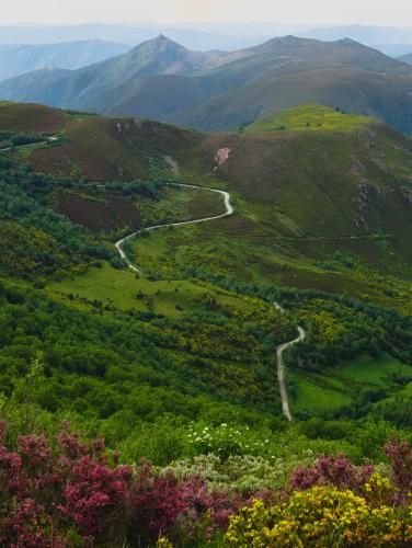Puerto de Ancares (Murias) Bike Climb - PJAMM Cycling