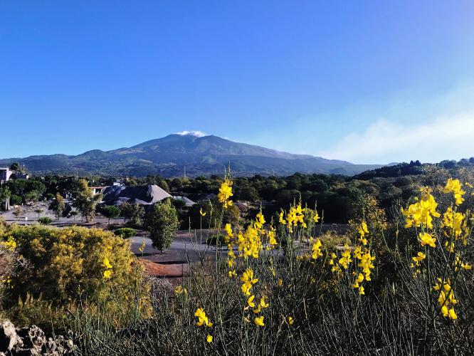 Mount Etna Bike Climb - PJAMM Cycling