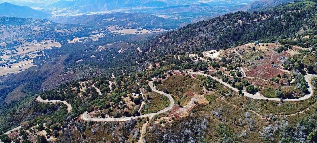 Palomar Mountain Bike Climb - PJAMM Cycling