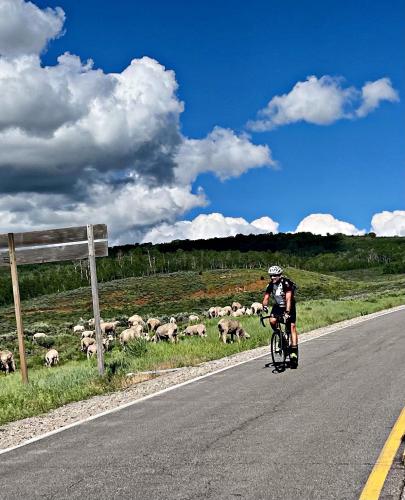 Monte Cristo Summit West Bike Climb - PJAMM Cycling