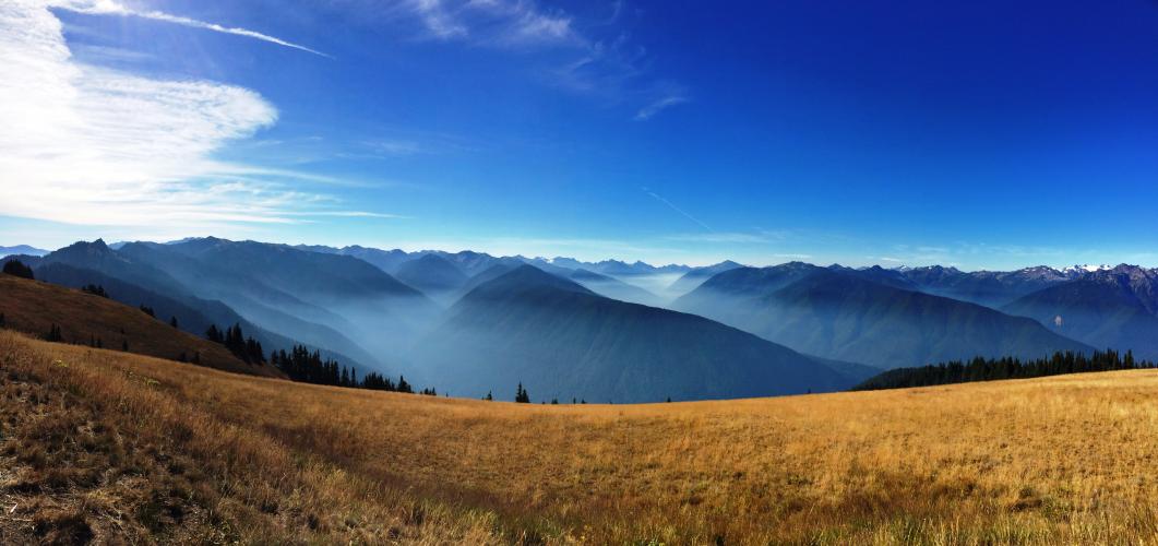 Hurricane Ridge Bike Climb - PJAMM Cycling