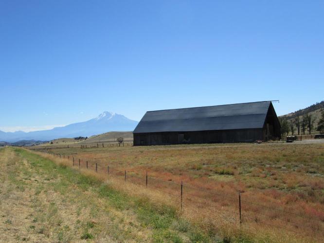 Mt. Shasta  Bike Climb - PJAMM Cycling