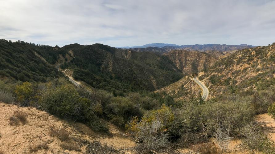 Pine Mountain Ridge (North) Bike Climb - PJAMM Cycling