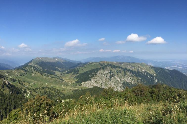 Monte Grappa (Cavaso del Tomba) Bike Climb - PJAMM Cycling