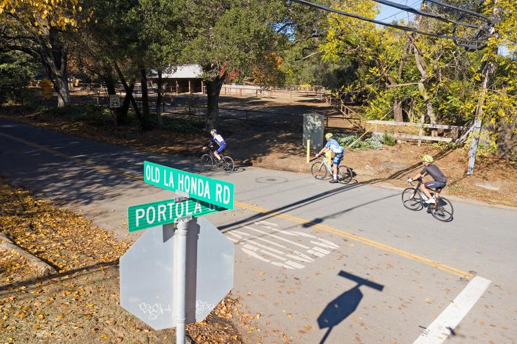 Old La Honda Road Bike Climb - PJAMM Cycling