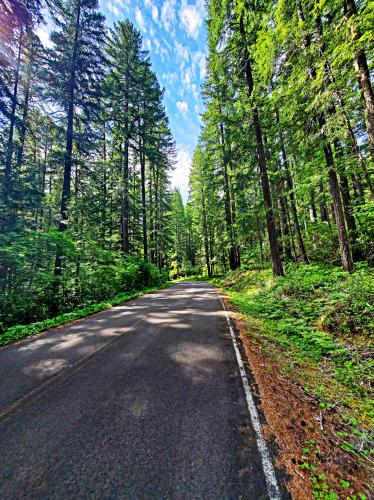 Aufderheide Scenic Byway South Bike Climb - PJAMM Cycling
