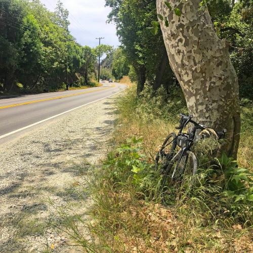 Old Topanga Canyon Road Bike Climb - PJAMM Cycling