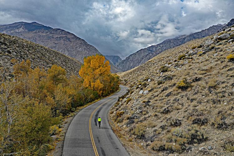 Pine Creek Bike Climb - PJAMM Cycling