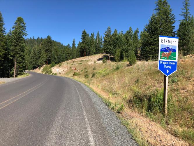 Elkhorn Summit Bike Climb - PJAMM Cycling