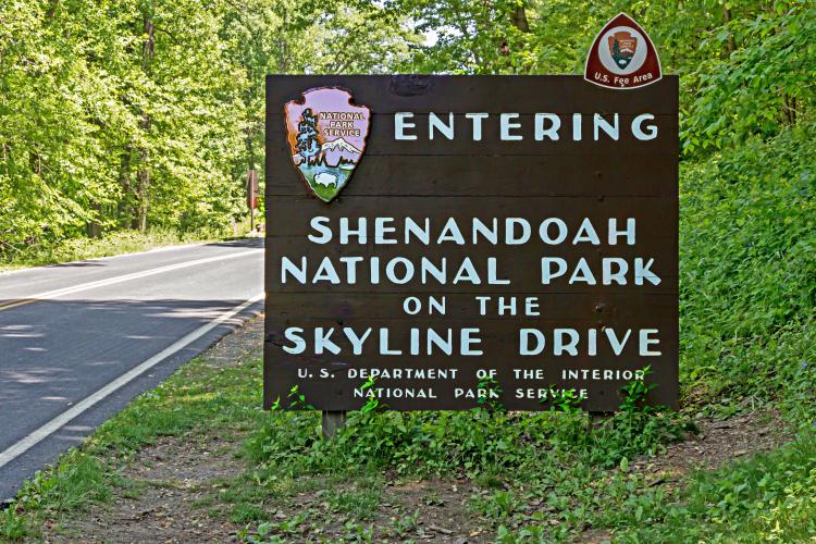 Skyline Drive - Shenendoah NP Bike Climb - PJAMM Cycling