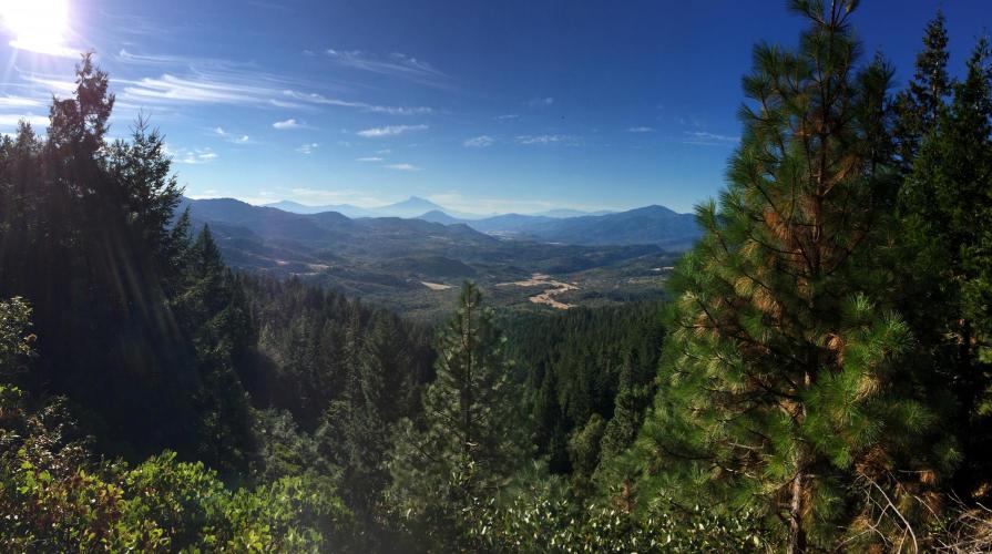 Mt. Ashland Bike Climb - PJAMM Cycling