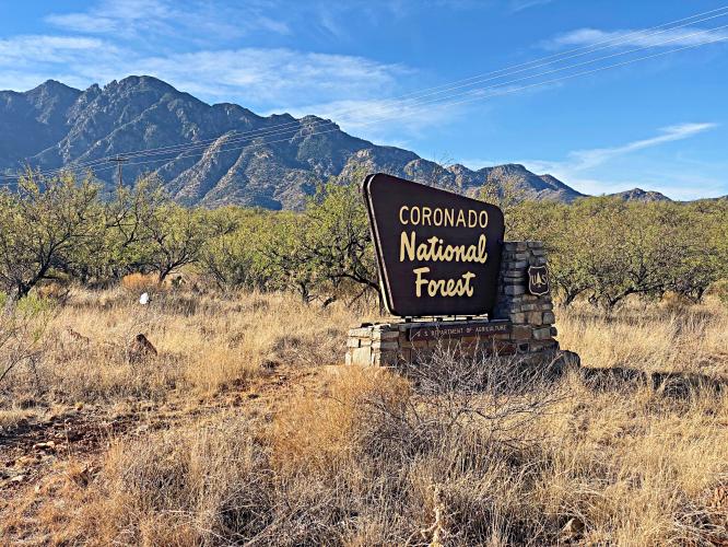 Madera Canyon Bike Climb - PJAMM Cycling