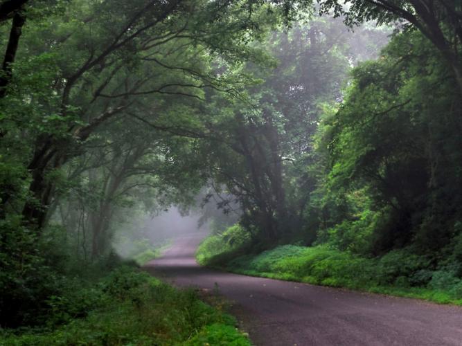 Keel Hollow Road Bike Climb - PJAMM Cycling