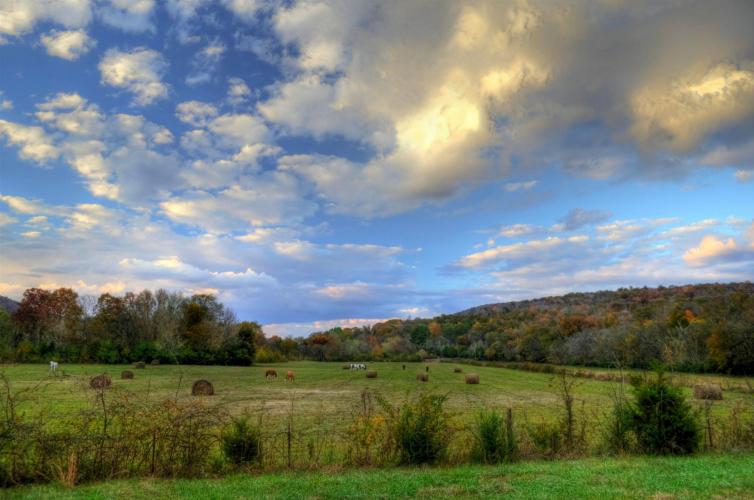 Paint Rock Valley Bike Climb - PJAMM Cycling