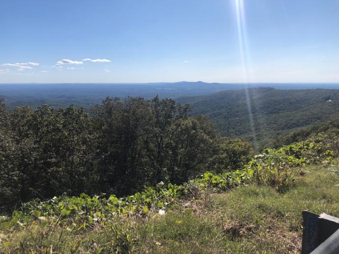 Burnt Mountain West Bike Climb - PJAMM Cycling