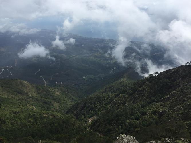 Peñas Blancas Bike Climb - PJAMM Cycling