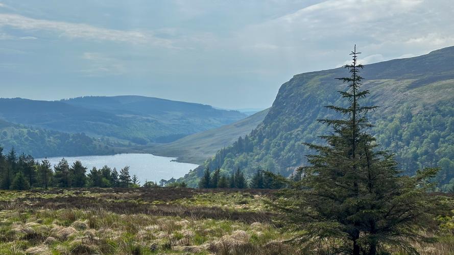 Sally Gap (Lough Tay) Bike Climb - PJAMM Cycling