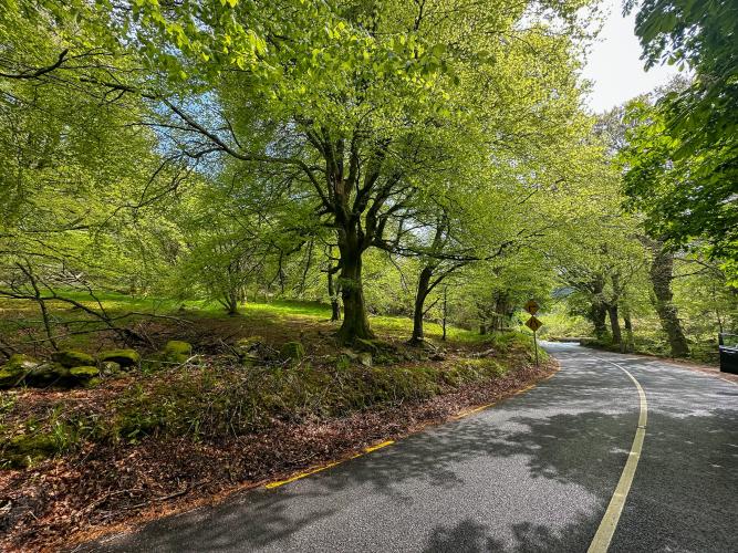 Cruagh Bridge Bike Climb - PJAMM Cycling