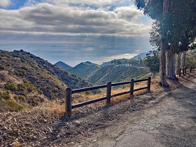 Catalina Island Conservancy  Bike Climb - PJAMM Cycling