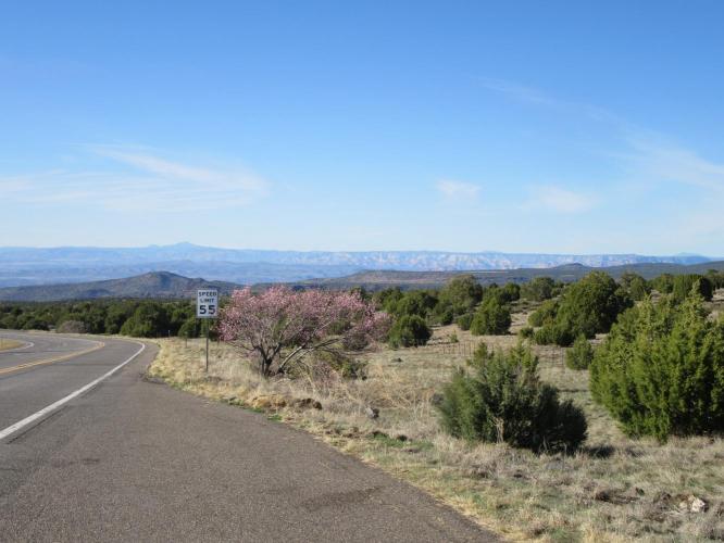 Hwy 260 Bike Climb - PJAMM Cycling