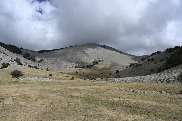 Piano Battaglia (a Collesano) Bike Climb - PJAMM Cycling
