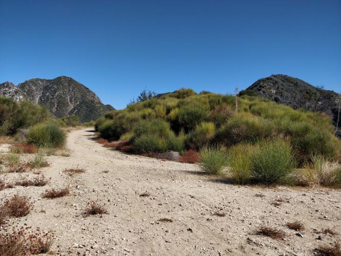 Mt. Lowe Bike Climb - PJAMM Cycling