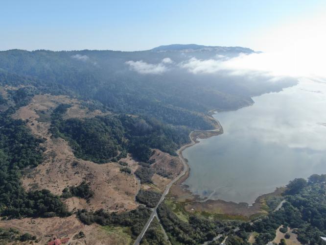 Fairfax-Bolinas Road Bike Climb - PJAMM Cycling